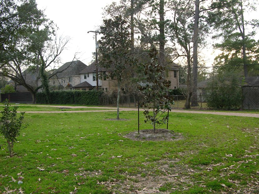Glenmore Forest park 8000 Wingo Houston, Texas 77055 (22)